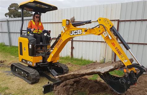 house of taamara mini excavator|house of taamara price.